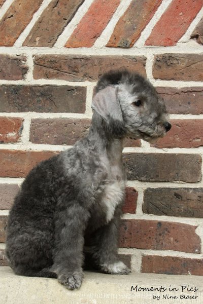 Antares 2009-08-01 & 02 (35).JPG